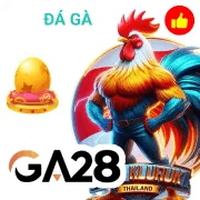 hk79 Game 08